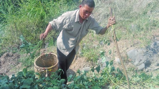 贵州思南有多少人口_贵州思南图片(3)