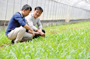 聚焦昆明绿领大学生:为乡村振兴注入新动能