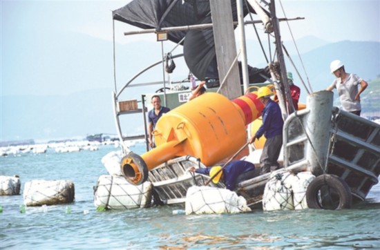 霞浦县城人口多少_...(夏斌王建军摄)-中国宁德 霞浦举行纪念第二十六个 世界(2)