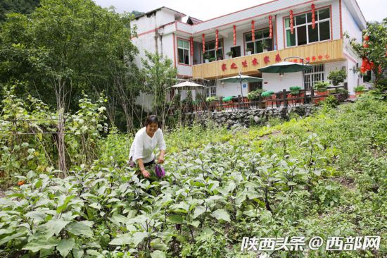 镇坪农妇在家开农家乐一年净入20万 越忙越开