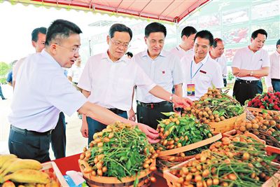 党建领航促发展 锐意创新铸品牌--平南县党建工