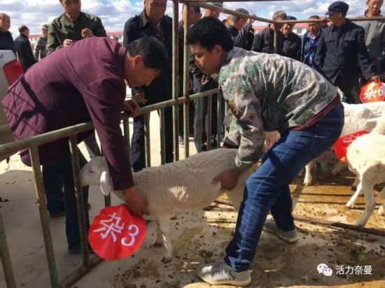 我国农民人口_中国实行改革开放,已超过30年的历史,中国的农民进城至少有三个(2)