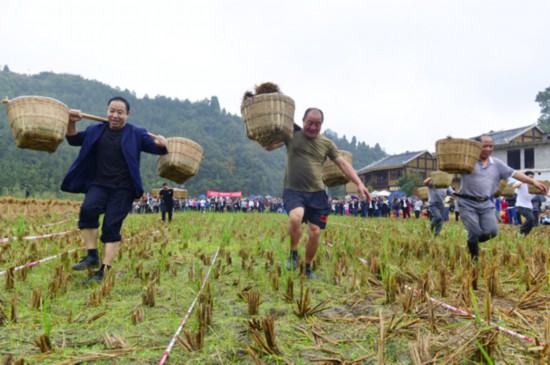 凤冈热烈庆祝首届“中国农民丰收节”