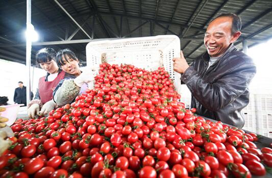 帮扶毕节满三周年 恒大为大方县稳定脱贫发起最后总攻