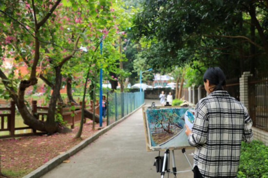 这里是广州的冬天,风和日丽,落英缤纷如画来