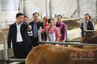 广西都安县经济总量_广西都安县身份证