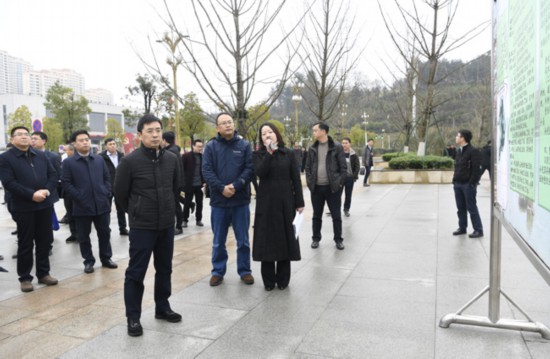 魏树旺在全市土地违法违规(湿地公园)整改、环