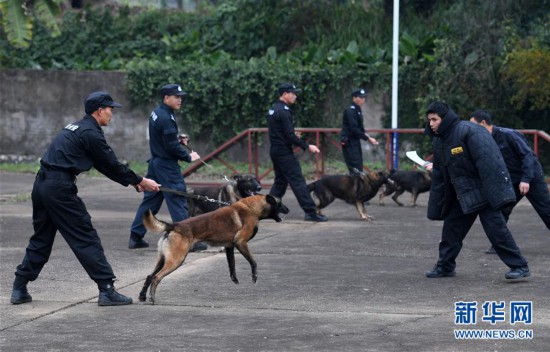 警犬演练备战春运