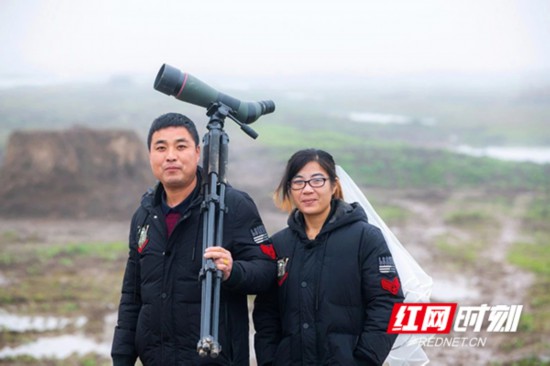 夫妻共同守護南洞庭候鳥，人送外號“神雕俠侶”