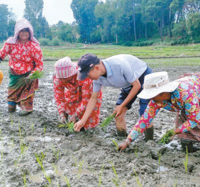 我国农民人口占多少_中国农民工的生活