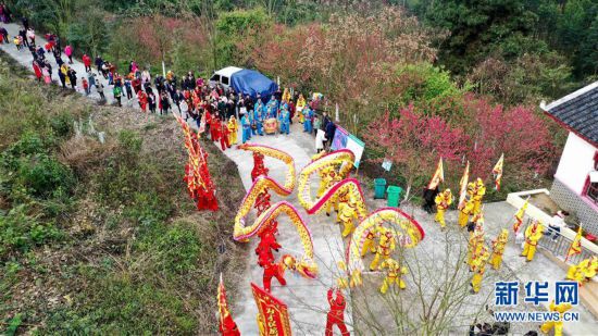 #（社会）（2）广西环江：舞龙闹花海 桃花迎客来