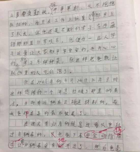 “爸爸牺牲10年，妈妈瞒了10年”11岁男孩作文让人泪奔