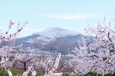 芒砀山:桃花依旧笑春风