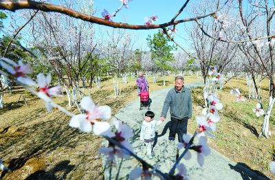 北京建成城市绿道821公里串联林地河流景点