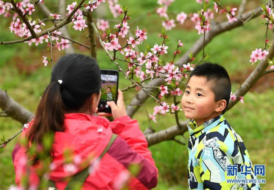 #（社会）（4）湖南湘西：赶“桃花会”享春光