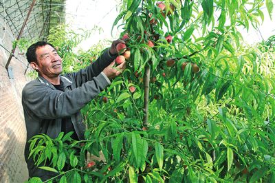 喀喇沁旗锦山镇有多少人口(2)