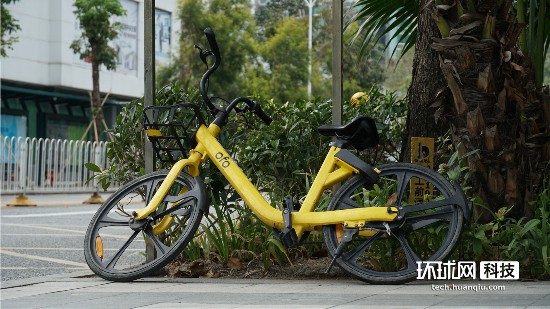 ofo 2019