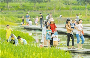 海口：城市更新谱新篇绘就椰城幸福卷