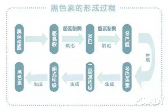 图片来源网络