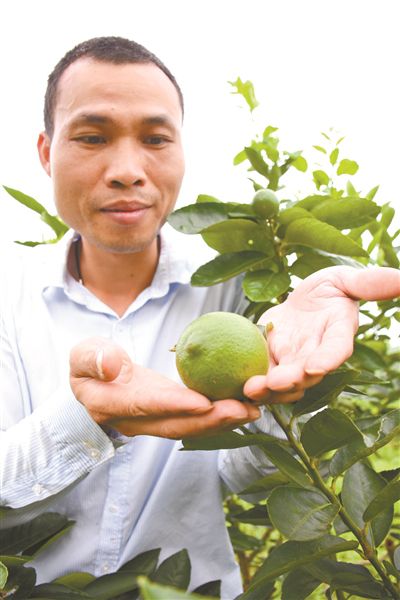 广梅手牵手催开“致富花”