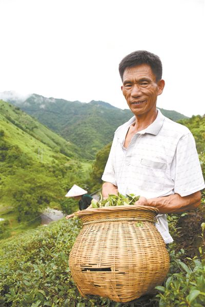 广梅手牵手催开“致富花”