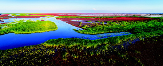 黄河入海口，那片湿地那座城