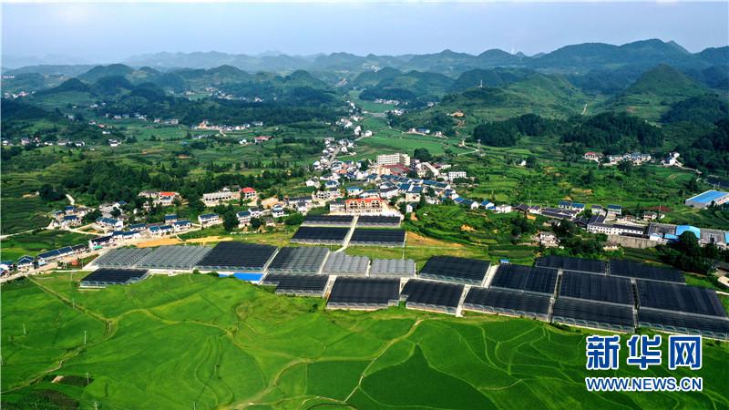 7月24日航拍的贵州遵义市播州区枫香镇花茂村夏日景色.