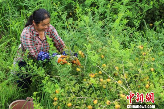 贵州不断优化提升营商环境加快打造现代产业试验区