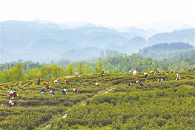 大方雨冲镇人口_微信头像简单大方