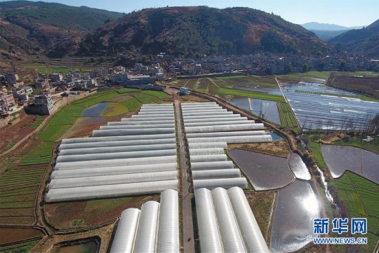 这是1月9日拍摄的云南省富民县散旦镇汉营村草莓种植基地(无人机