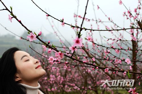 2020年泸州gdp预测_四川省泸州市上半年GDP逼近千亿元,同比增长1.3%