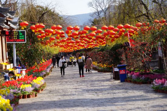 麗江古城恢復接待游客 麗江市廣播電視台供圖