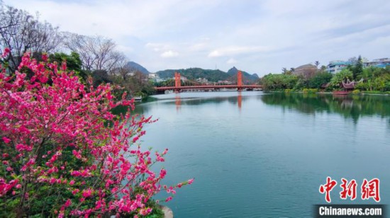 早春二月桂林两江四湖景区桃花盛开吸引游人