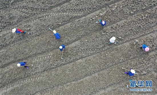 贵州苗族侗族自治州经济总量_贵州苗族自治州图片