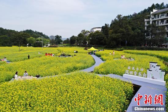 「中国で最も美しい村」で「花畑音楽会」開催　江西省