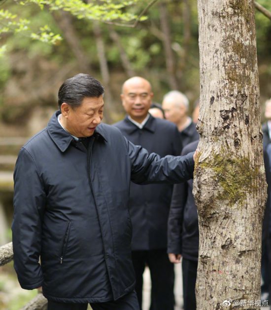 习近平在陕西考察秦岭生态保护情况(图3)