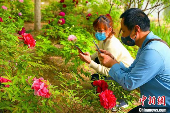 新疆庫爾勒に美しく咲き乱れる花々　