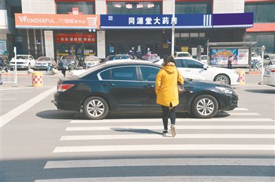 市府大路体验采访——机动车斑马线前“随意行”