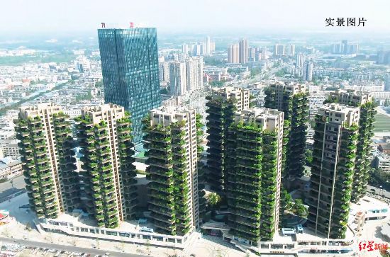 成都 各ベランダに植物茂るマンションが登場 都市で田舎暮らしの夢実現 人民網日本語版 人民日報