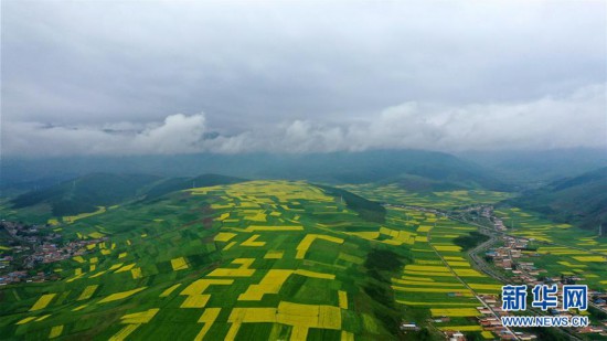 （美麗中國）（5）高原花開迎客來