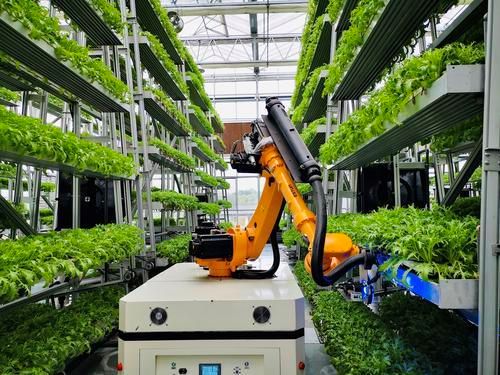 重庆成功研发智能"叶菜工厂" 从播种,育苗到收割全程由机器人来做