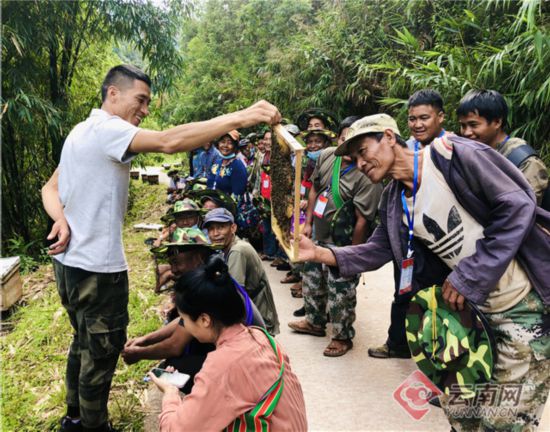 普洱西盟-云南频道-人民网_网上的人民日报