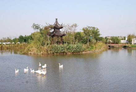 线路推荐:莲湖村(青西郊野公园→张马村(寻梦源·梦水乡→凯博休闲