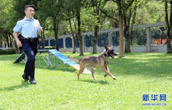 香港警犬队领犬员和他的家人