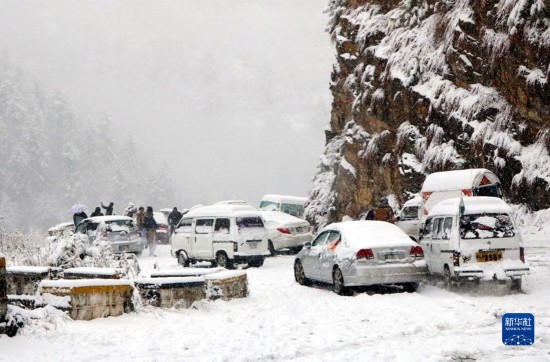 巴基斯坦雨雪天气致至少32人死亡