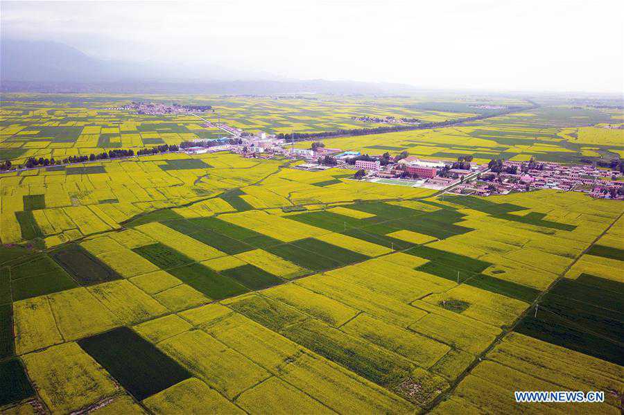 (EcoChina)CHINA-HORTICULTURAL EXPO-GANSU (CN)