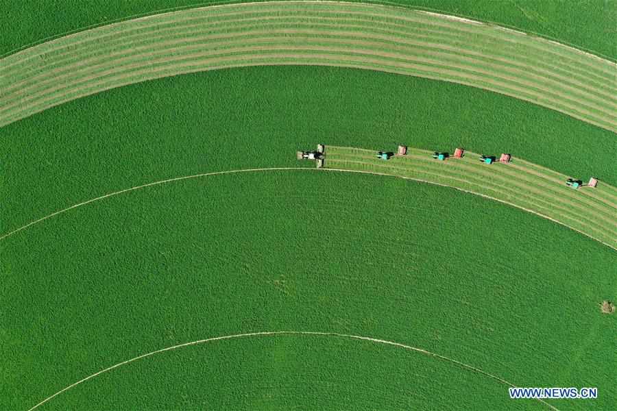 CHINA-FARMERS' HARVEST FESTIVAL (CN)