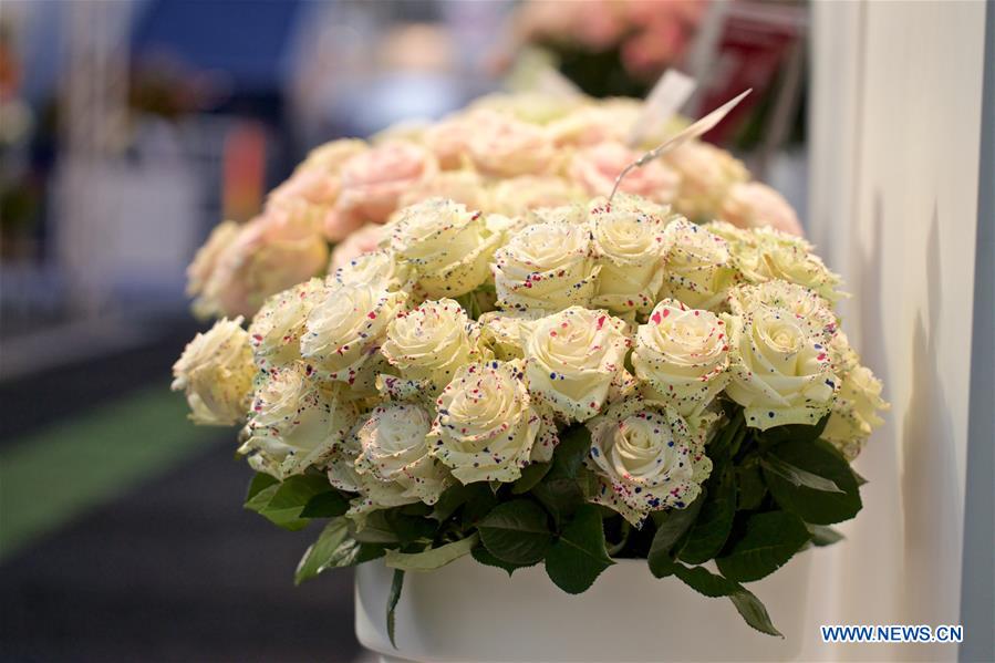 THE NETHERLANDS-VIJFHUIZEN-FLORICULTURE FAIR