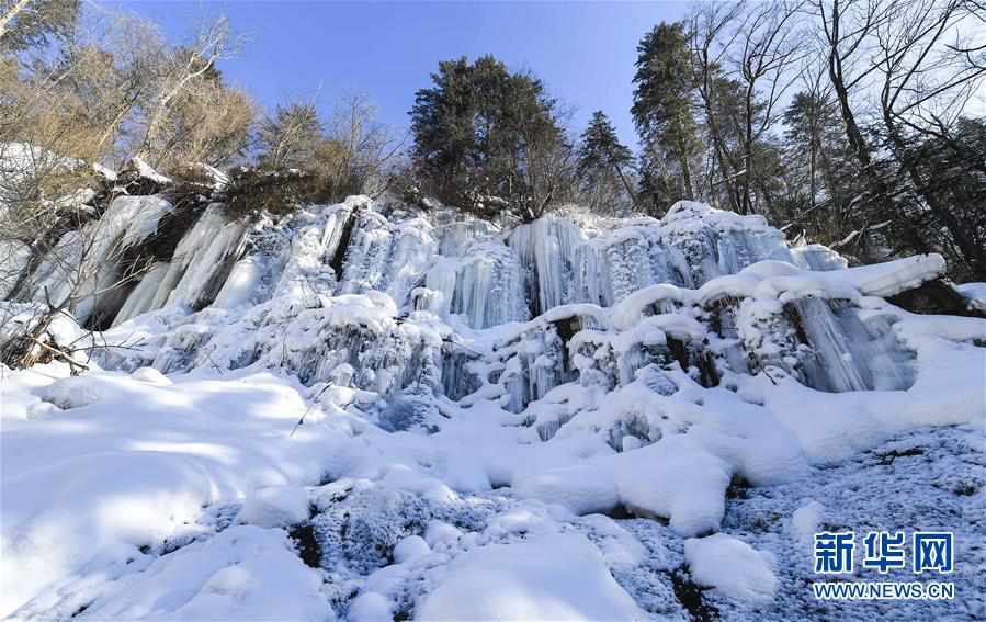 长白山区冬日美(4) 第4页