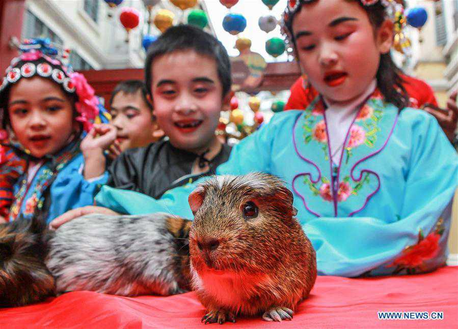 PHILIPPINES-MANILA-CHINESE LUNAR NEW YEAR-CELEBRATIONS